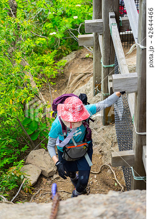 三徳山、投入堂へと続く道（鳥取県東伯郡三朝町三徳）※作品コメント欄に撮影位置あり 42644466