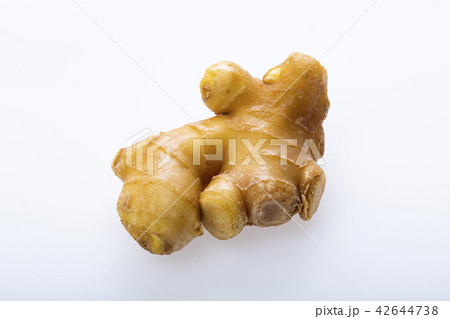 生姜 しょうが 生姜 しょうが 42644738