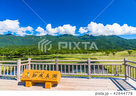 《北海道》夏の知床・知床連山と知床五湖 《北海道》夏の知床・知床連山と知床五湖 42644778
