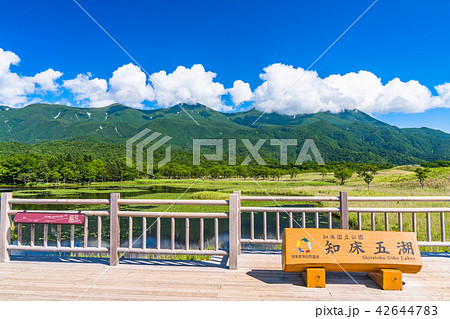 《北海道》夏の知床・知床連山と知床五湖 《北海道》夏の知床・知床連山と知床五湖 42644783