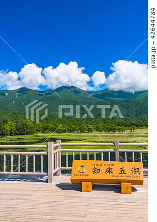 《北海道》夏の知床・知床連山と知床五湖 《北海道》夏の知床・知床連山と知床五湖 42644784