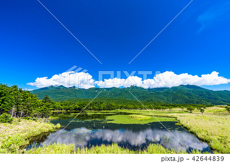 《北海道》夏の知床・知床連山と知床五湖 《北海道》夏の知床・知床連山と知床五湖 42644839