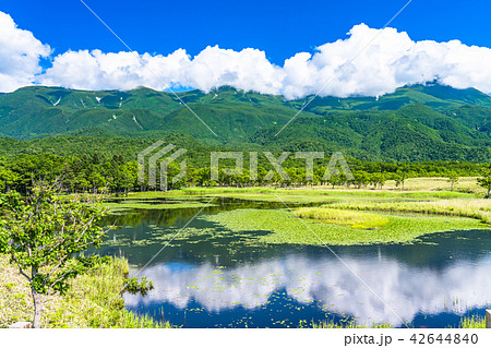 《北海道》夏の知床・知床連山と知床五湖 《北海道》夏の知床・知床連山と知床五湖 42644840