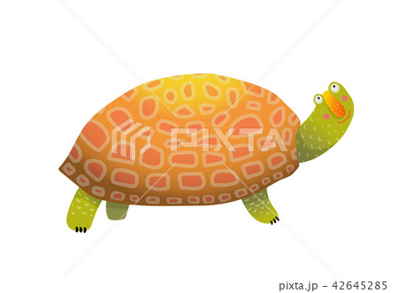 Turtle Cartoonのイラスト素材