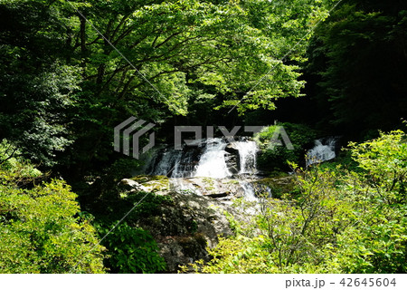 江竜田の滝 42645604