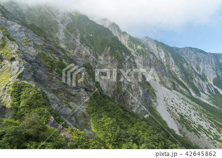 大山　ユートピアコース 42645862