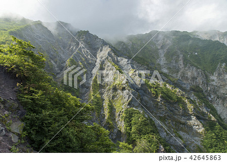 大山 ユートピアコース 大山 ユートピアコース 42645863