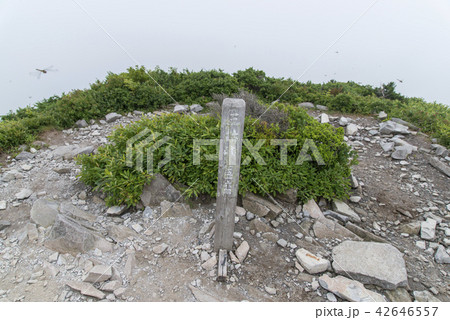 三鈷峰山頂(大山) 三鈷峰山頂(大山) 42646557