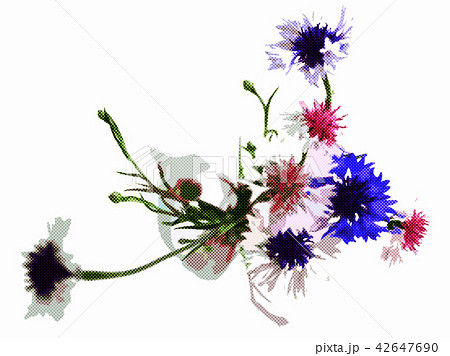 ヤグルマギクのブーケ 42647690