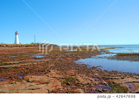 ポイントプリム灯台 42647698