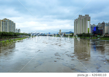 中浪川 洪水 ソウル 42648110