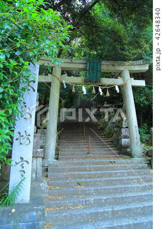 太郎坊宮　 42648340