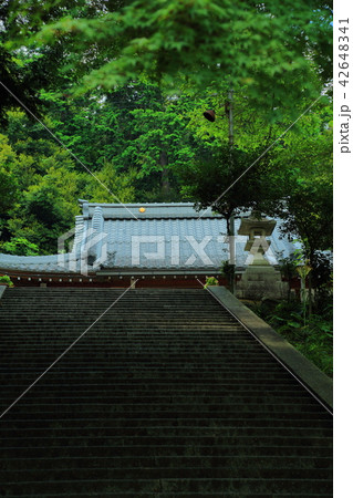 太郎坊宮 太郎坊宮 42648341