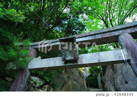 太郎坊宮 太郎坊宮 42648345