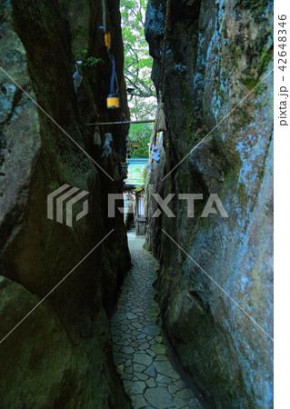 太郎坊宮　 42648346