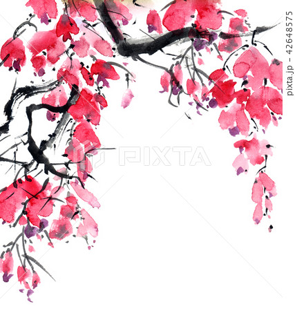Blossom tree branch Blossom tree branch 42648575
