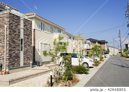 新興住宅街 新興住宅街 42648803