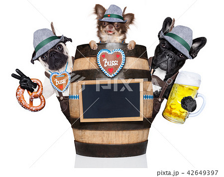 group of bavarian beer dogs group of bavarian beer dogs 42649397