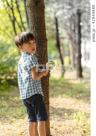 子供 目 観察 42649880