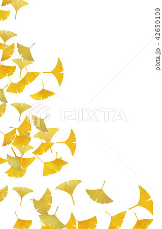 秋色 舞うイチョウの葉 フレームのイラスト素材
