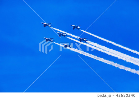 ブルーインパルス 42650240