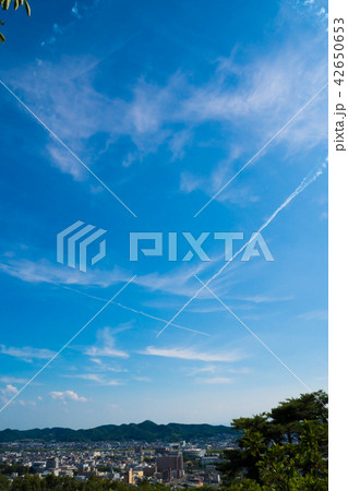 ブルーインパルス 42650653