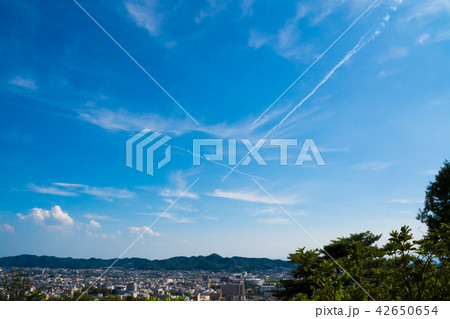 ブルーインパルス 42650654