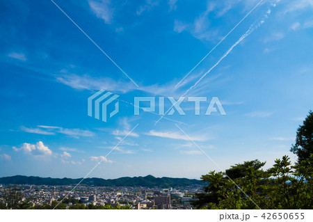 ブルーインパルス 42650655