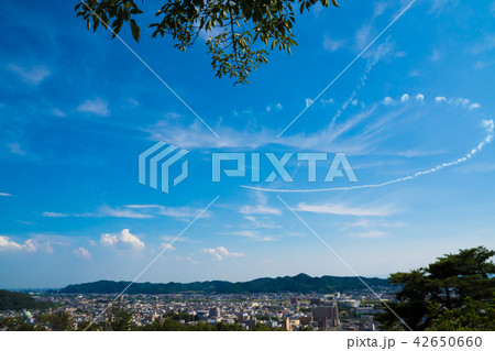 ブルーインパルス 42650660