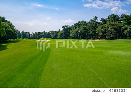 ゴルフ場 フェアウェイ 42651034