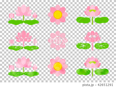 Lotus Hanko & Watercolor 42651291