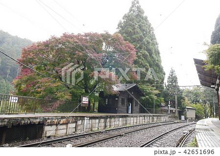 京都 42651696