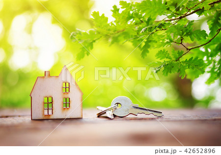 wooden house on the grass 42652896