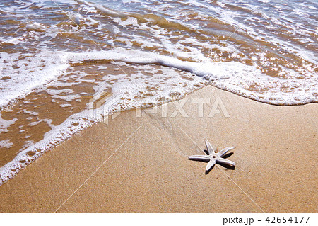 波打ち際　クイニョンの浜辺 42654177