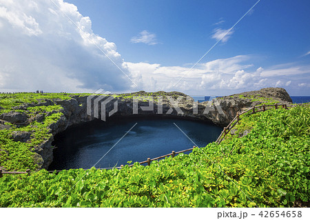 通り池05 通り池05 42654658