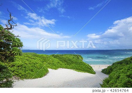 砂山ビーチ01 42654764