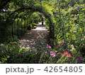 花園 42654805