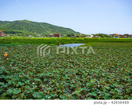 countryside in Taiwan countryside in Taiwan 42656489