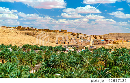 Ksar Bounoura, an old town in the M'Zab Valley in Algeria 42657125