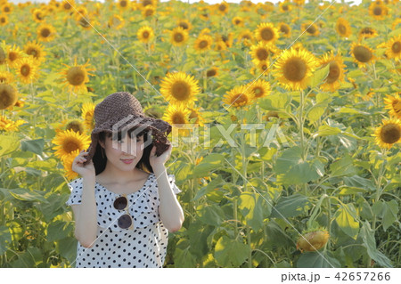 ひまわり畑と女の子の写真素材