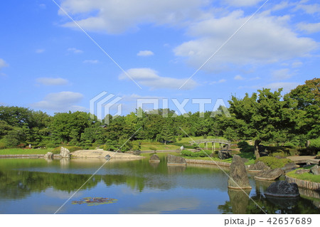 越谷　花田苑　花田第六公園 42657689
