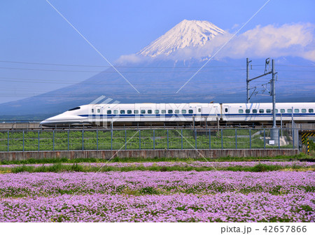 レンゲ畑と新幹線と富士山-5471 42657866