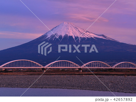 富士川岸からの富士山-6675 42657892