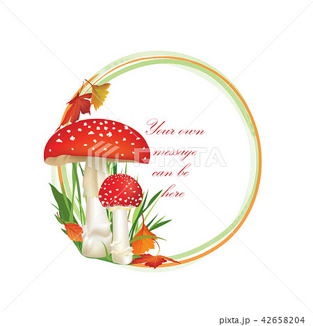 Red poison Death-cup mushroom. Nature floral frame Red poison Death-cup mushroom. Nature floral frame 42658204
