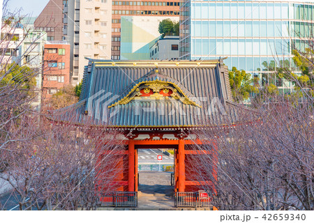東京　旧台徳院霊廟惣門 42659340