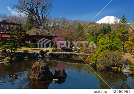 山梨県南都留郡 忍野八海 八海庭園彦兵衛屋敷 山梨県南都留郡 忍野八海 八海庭園彦兵衛屋敷 42660962
