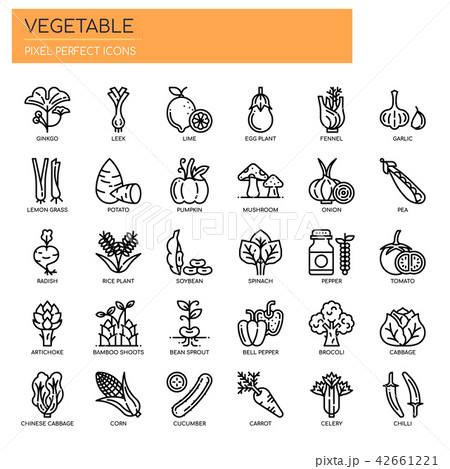 Vegetable , Thin Line and Pixel Perfect Icons. Vegetable , Thin Line and Pixel Perfect Icons. 42661221