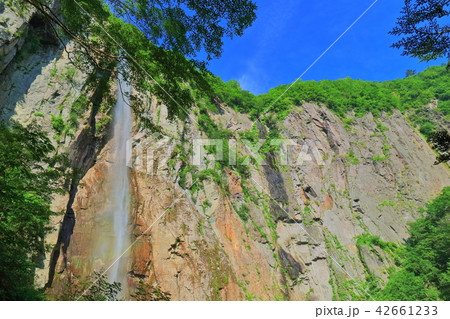 万緑の米子大瀑布（不動滝） 42661233