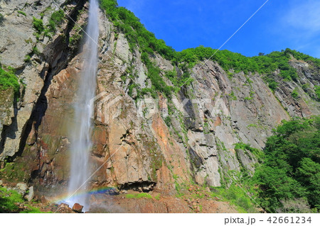 万緑の米子大瀑布（不動滝） 42661234