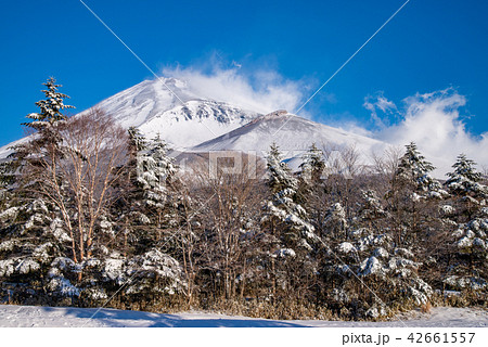 （静岡県）水ケ塚公園から眺める、降雪後の富士山 42661557